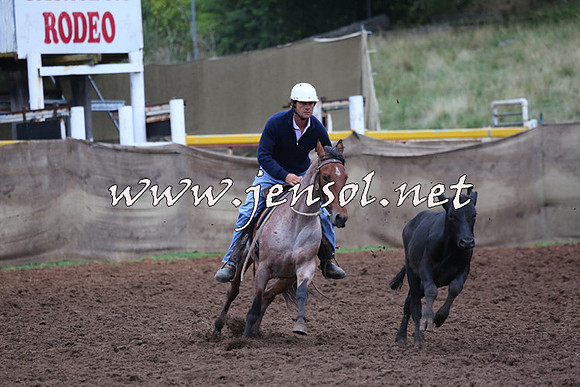 TaralgaCampdraftSun_0601