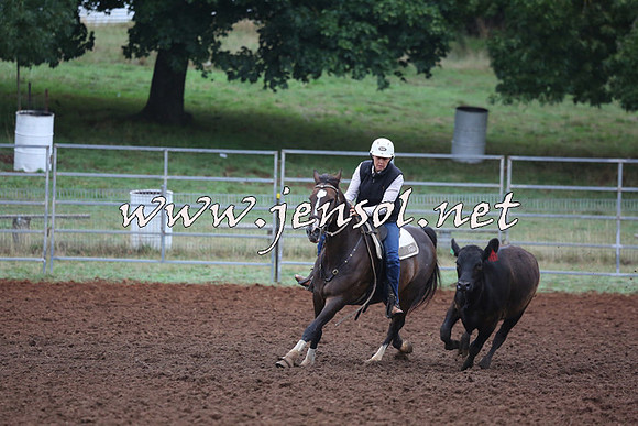 TaralgaCampdraftSun_0612