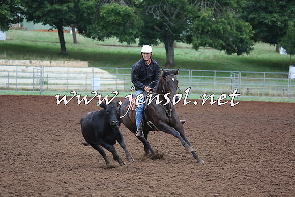 TaralgaCampdraftSun_0640