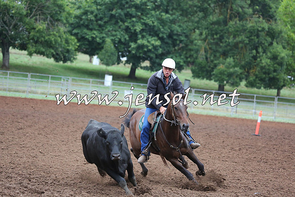 TaralgaCampdraftSun_0596