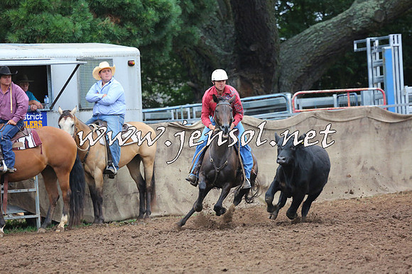 TaralgaCampdraftSun_0679