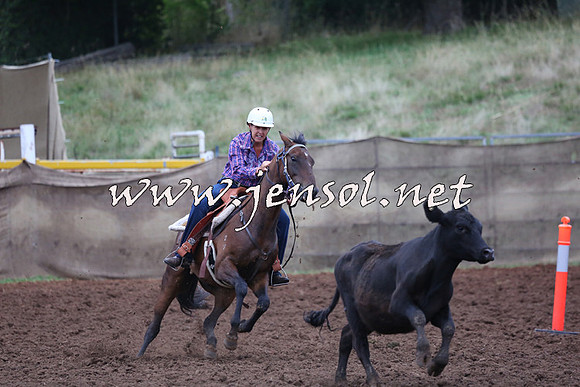 TaralgaCampdraftSun_0690