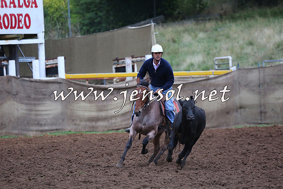 TaralgaCampdraftSun_0597