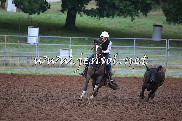 TaralgaCampdraftSun_0611