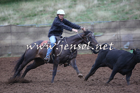 TaralgaCampdraftSun_0635