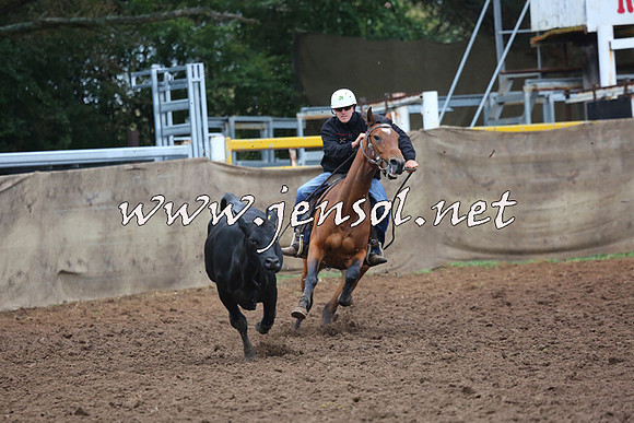 TaralgaCampdraftSun_0668