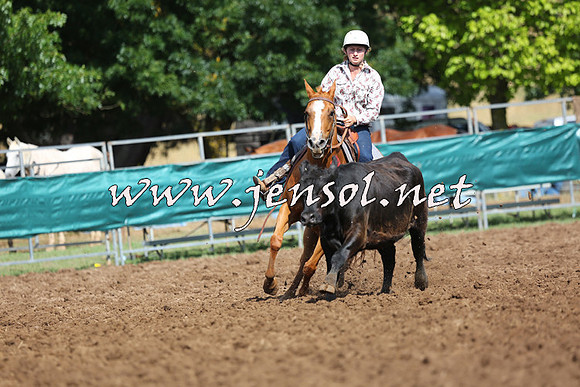 TaralgaCampdraftSat_0246
