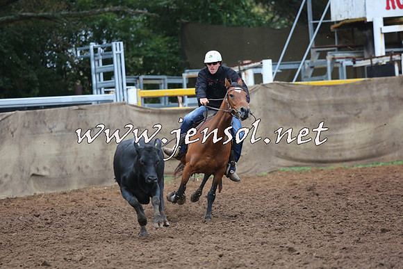 TaralgaCampdraftSun_0666