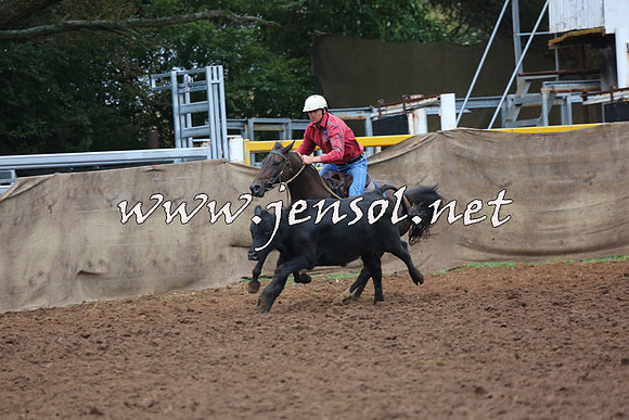 TaralgaCampdraftSun_0674