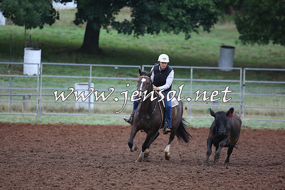 TaralgaCampdraftSun_0610