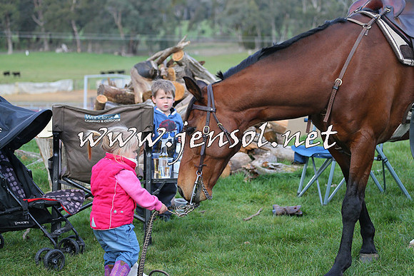TumbarumbaStockmensChallenge_1843