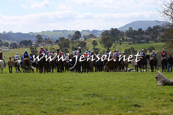 TumbarumbaStockmensChallenge_1045