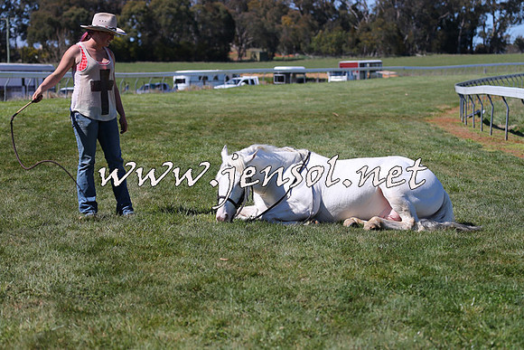 TumbarumbaStockmensChallenge_0015