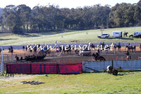TumbarumbaStockmensChallenge_0902