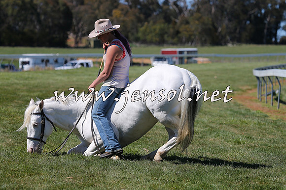 TumbarumbaStockmensChallenge_0004
