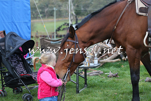 TumbarumbaStockmensChallenge_1857