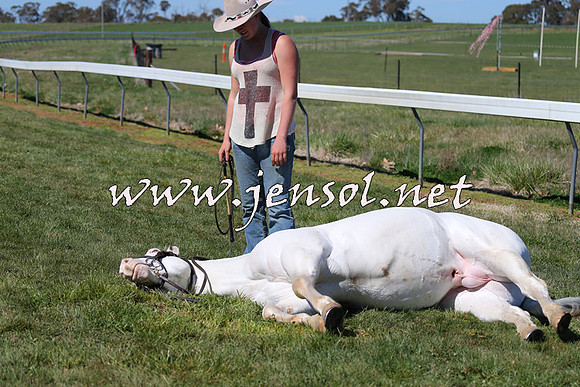 TumbarumbaStockmensChallenge_0029