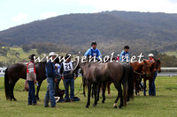 TumbarumbaStockmensChallenge_0996