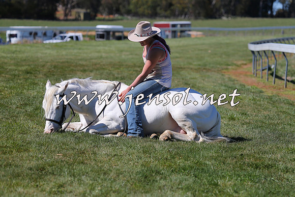 TumbarumbaStockmensChallenge_0006