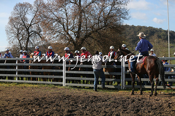 TumbarumbaStockmensChallenge_1690