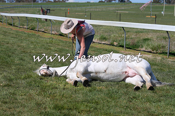 TumbarumbaStockmensChallenge_0021