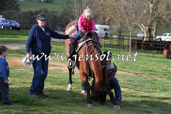 TumbarumbaStockmensChallenge_1828