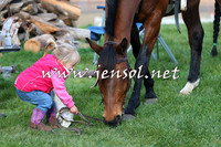 TumbarumbaStockmensChallenge_1837