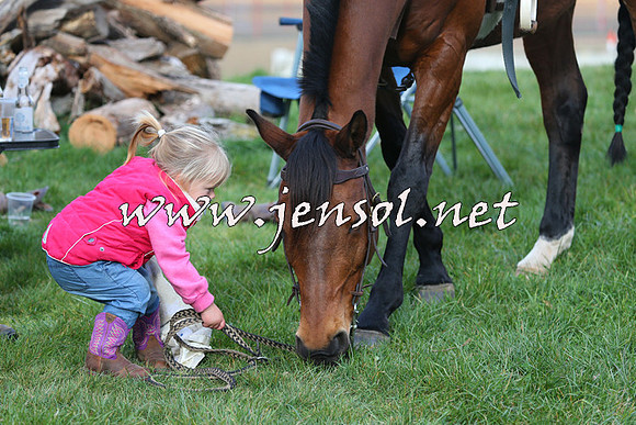 TumbarumbaStockmensChallenge_1837