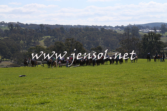 TumbarumbaStockmensChallenge_1055