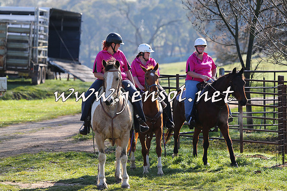 TumbarumbaStockmensChallenge_0903