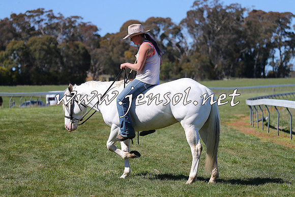 TumbarumbaStockmensChallenge_0002