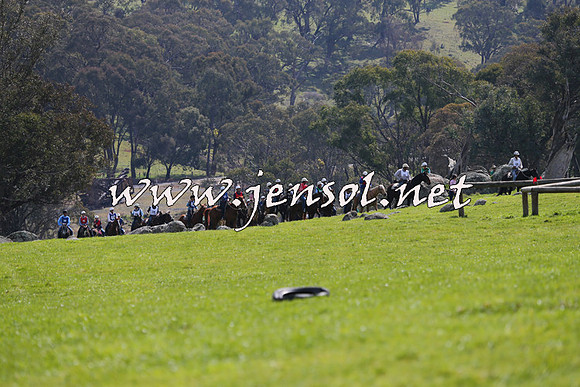 TumbarumbaStockmensChallenge_1051