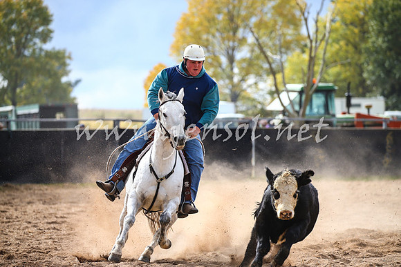 BungendoreCampdraft2017_1584