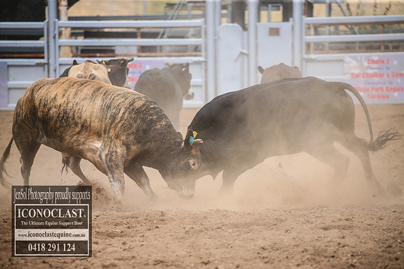 TaralgaRodeo2018_2176