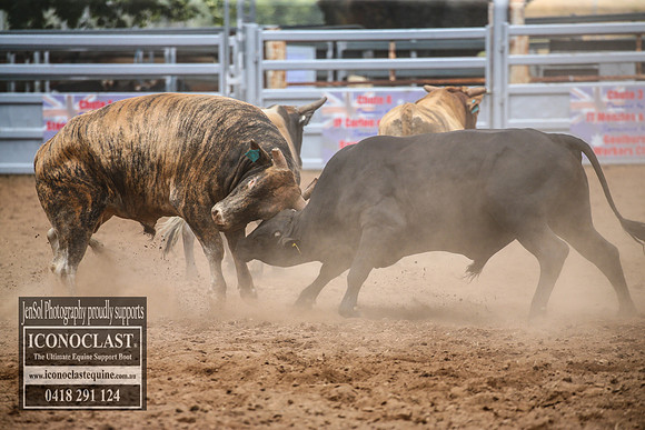 TaralgaRodeo2018_2190