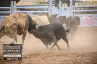 TaralgaRodeo2018_2186