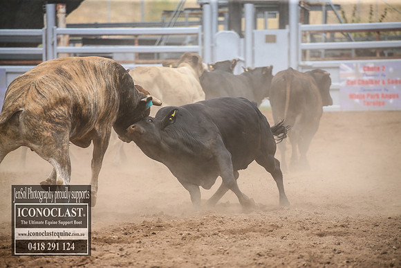 TaralgaRodeo2018_2186