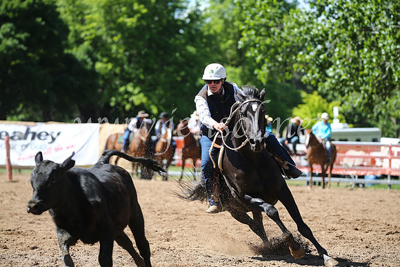 OrangeCampdraft2016_8252
