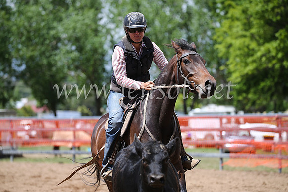 OrangeCampdraft2016_8330