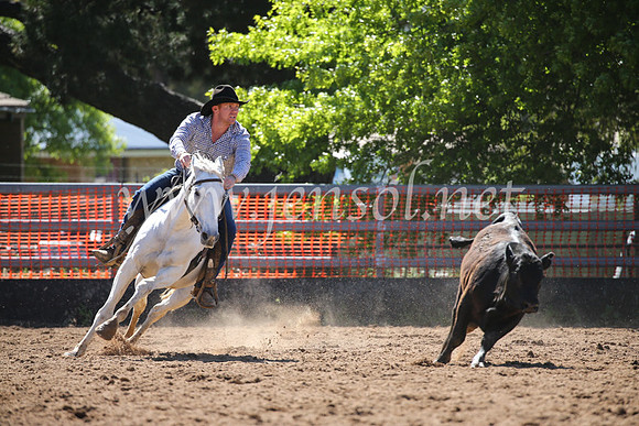 OrangeCampdraft2016_8223