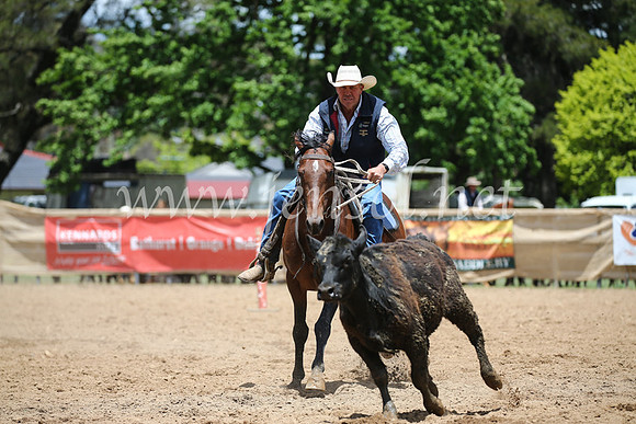 OrangeCampdraft2016_8563