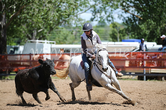 OrangeCampdraft2016_8625