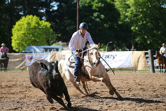 OrangeCampdraft2016_8000