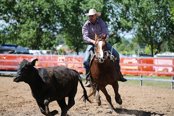 OrangeCampdraft2016_8267