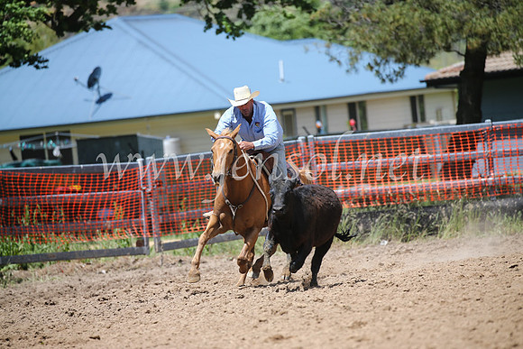OrangeCampdraft2016_8663