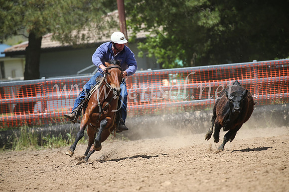 OrangeCampdraft2016_8647