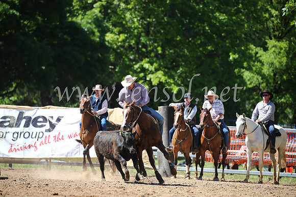 OrangeCampdraft2016_8275