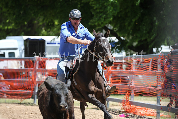 OrangeCampdraft2016_8611