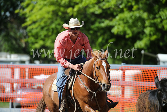 OrangeCampdraft2016_8159