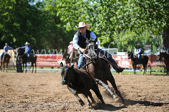 OrangeCampdraft2016_8081